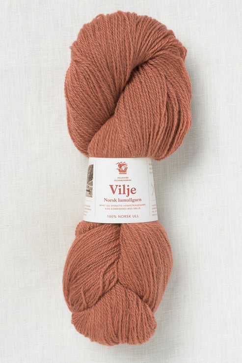 Hillesvåg Vilje