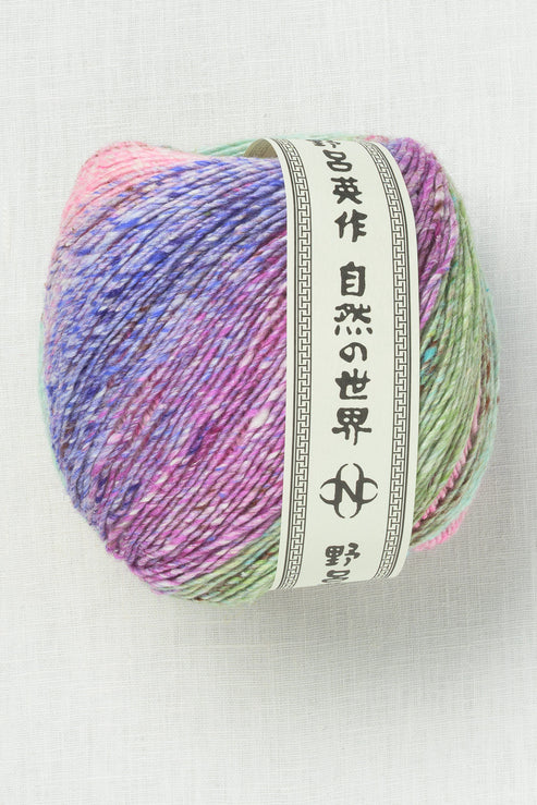 Noro Akari