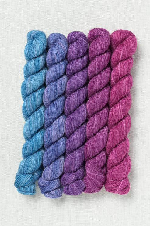 Sweet Georgia Party of Five Tough Love Sock Mini Skein Set