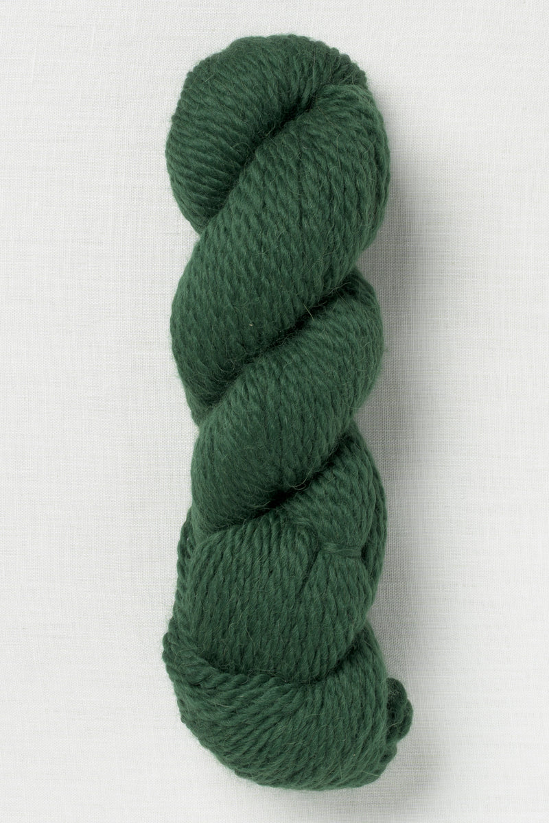 Pascuali Baby Alpaca Los Andes 31 Black Forest