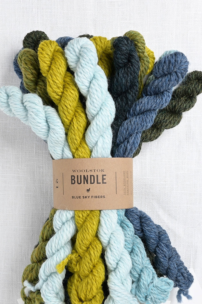 Blue Sky Fibers Woolstok Bundle Cool