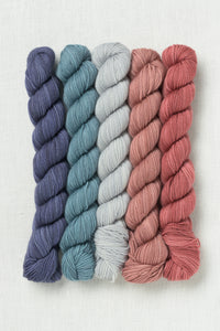 Sweet Georgia Party of Five Tough Love Sock Mini Skein Set Modern Desert