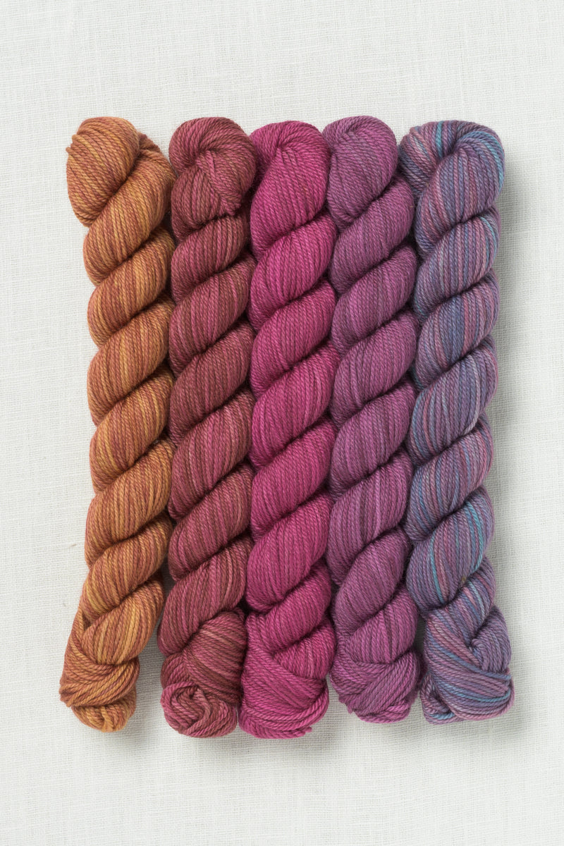 Sweet Georgia Party of Five Tough Love Sock Mini Skein Set Spilling Secrets