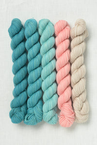 Sweet Georgia Party of Five Tough Love Sock Mini Skein Set Seashore