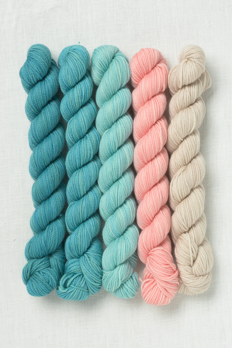 Sweet Georgia Party of Five Tough Love Sock Mini Skein Set Seashore