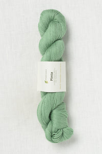 Pascuali Pinta 130 Agave