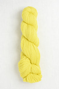 Cascade 220 Sport 1070 Golden Kiwi