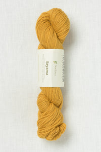 Pascuali Sayama 305 Curry