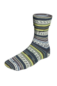 Lang Yarns Super Soxx Color 396 Demeter (Limited Edition)