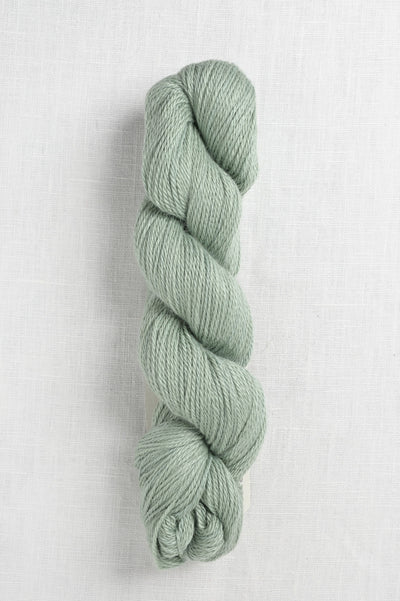 Amano Ayni 5022 Pale Lupine