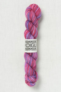 Koigu Painter's Palette Premium Merino KPPPM P205