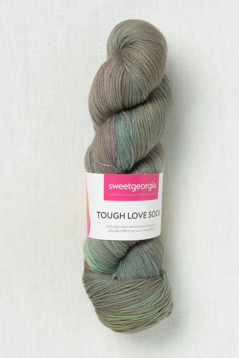 Sweet Georgia Superwash DK Winter Haven