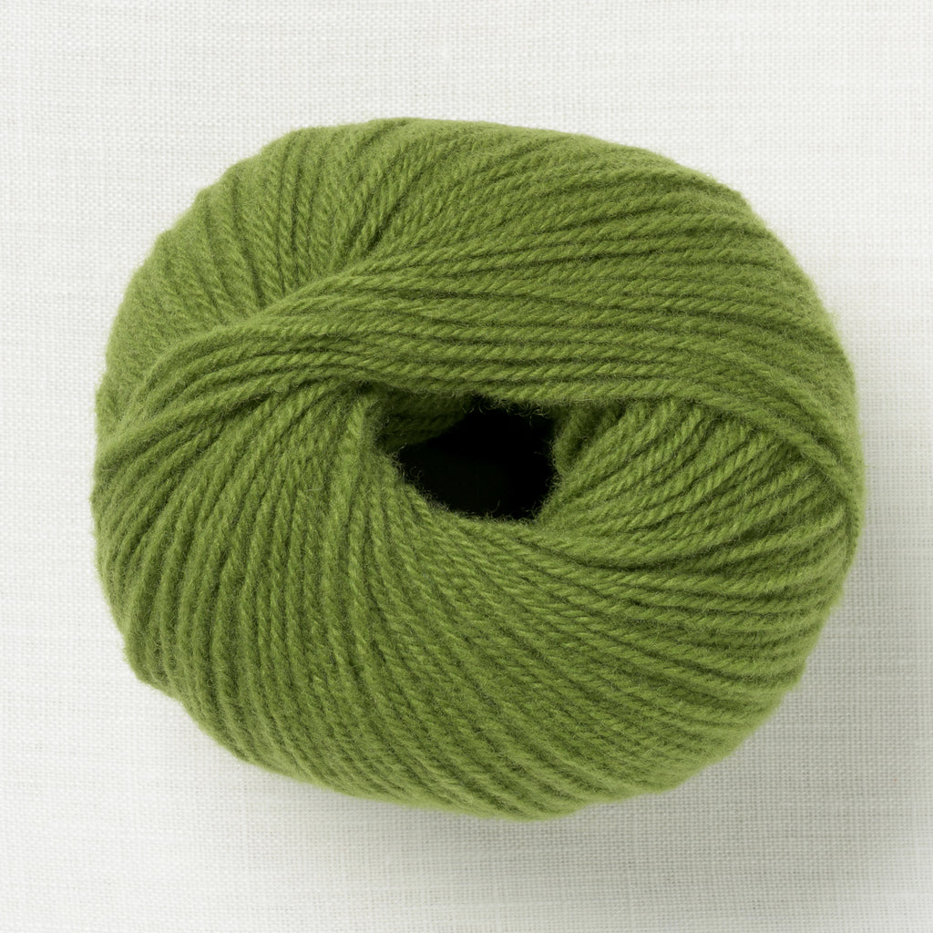 Lamana Como 66 Kiwi