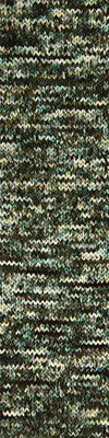 Cascade Heritage 6 Hand Paints 602 Mossy Rock swatch