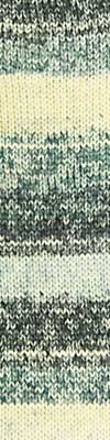 Cascade Pacific Prints 609 Stormy
