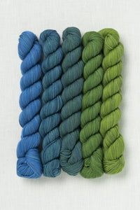Sweet Georgia Party of Five Tough Love Sock Mini Skein Set Sea to Sky