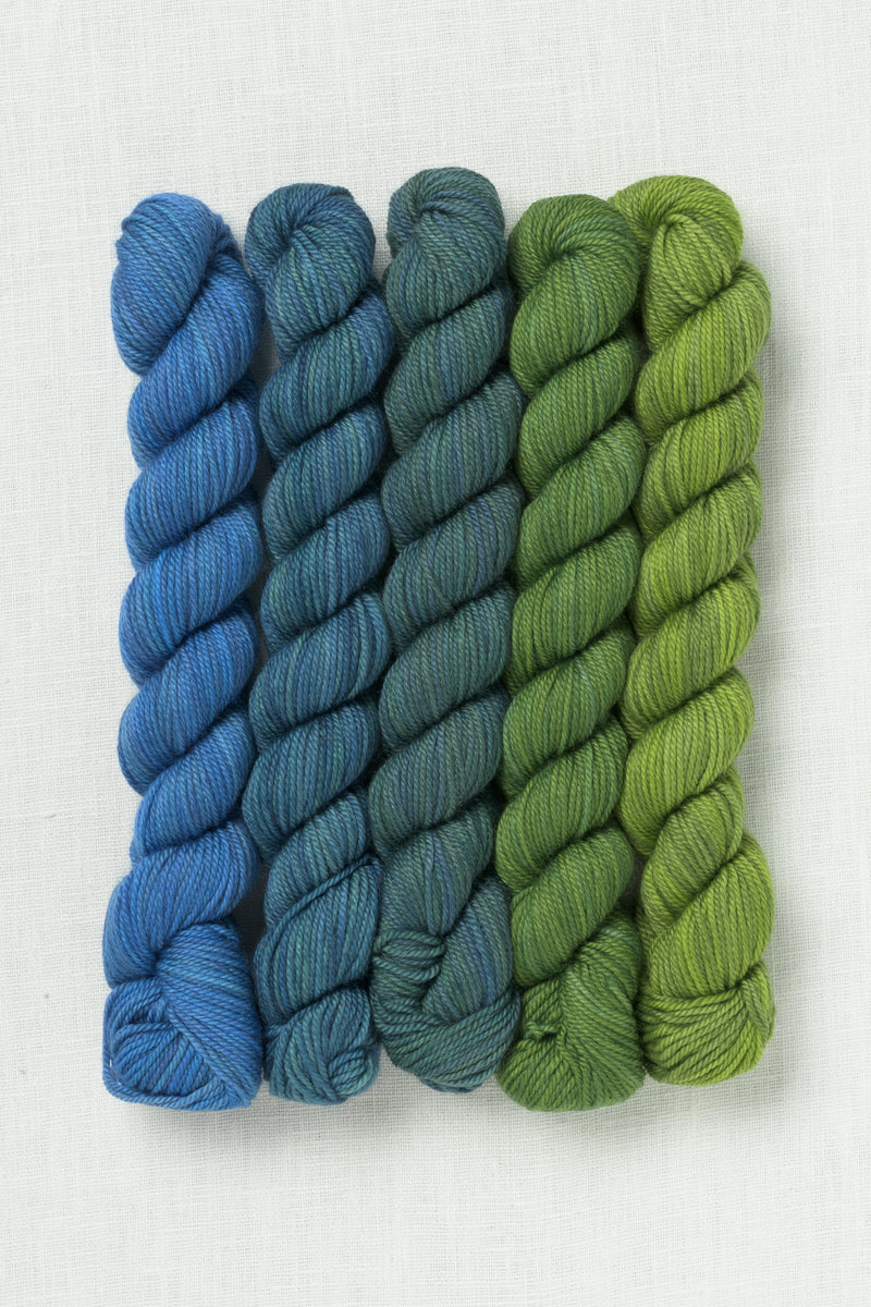 Sweet Georgia Party of Five Tough Love Sock Mini Skein Set Sea to Sky