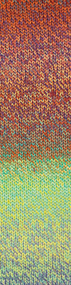 Cascade 220 Superwash Sport Wave 113 Unicorn swatch