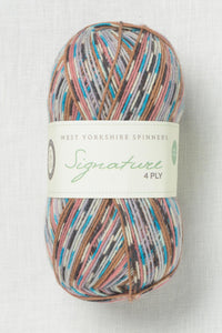 WYS Signature 4 Ply 1167 Jay
