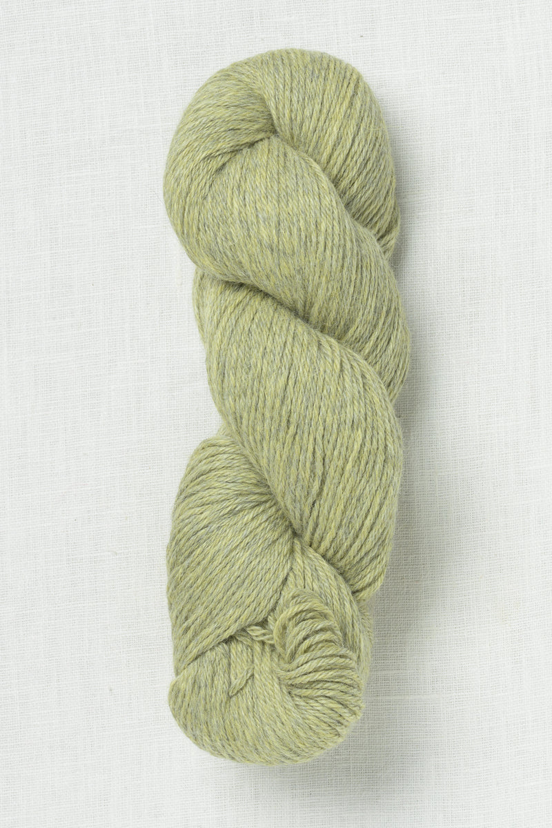 Amano Puna Traceable 4118 Dry Thyme