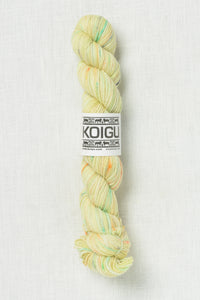 Koigu Painter's Palette Premium Merino KPPPM P344