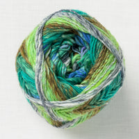 Noro Silk Garden Sock S542 Shiroishi