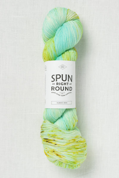 Spun Right Round Squish DK Fresh