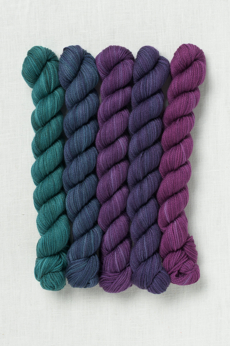 Sweet Georgia Party of Five Tough Love Sock Mini Skein Set Tanzanite