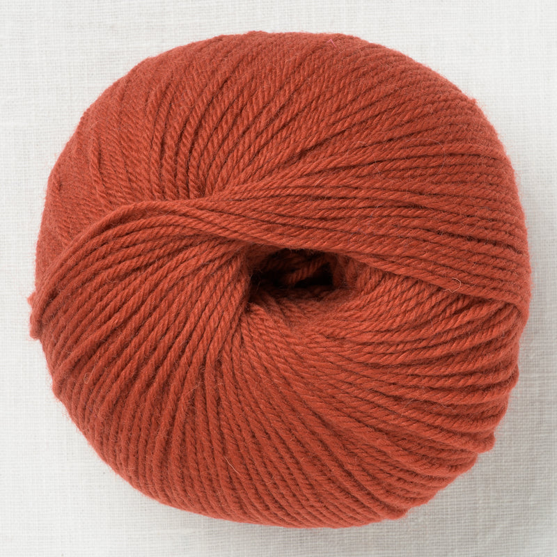 Ella Rae Superwash Classic Wool 1035 Sunrise