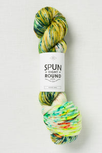 Spun Right Round Merino Aran Flying Cactus