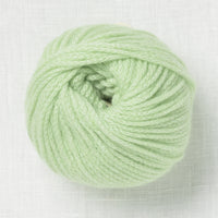 Pascuali Cashmere Delizia 88 Spring Green
