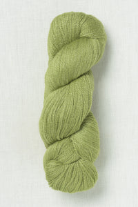 Juniper Moon Farm Moonshine Fine 1019 Matcha Tea