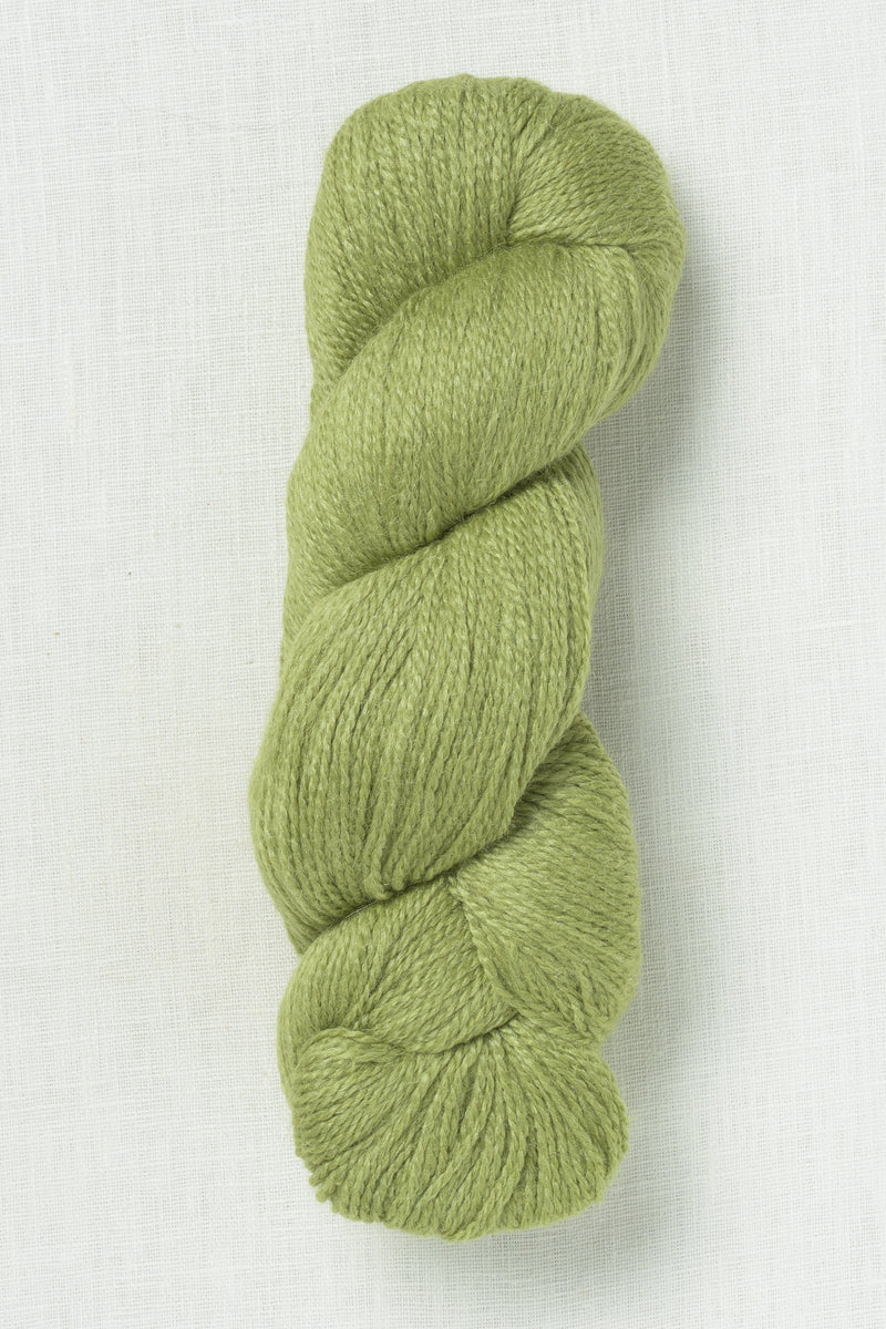 Juniper Moon Farm Moonshine Fine 1019 Matcha Tea