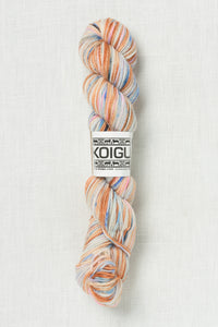 Koigu Painter's Palette Premium Merino KPPPM P053