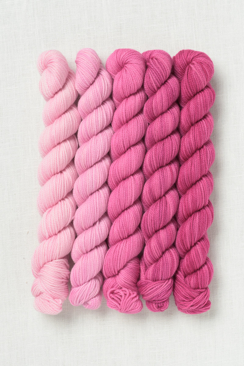Sweet Georgia Party of Five Tough Love Sock Mini Skein Set Hanami