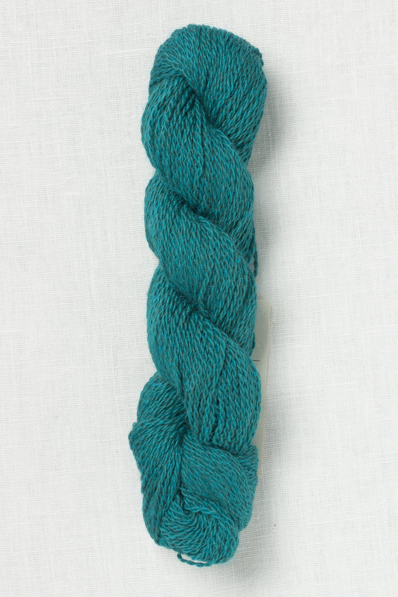 Amano Puna Light 2801 Spring Fling