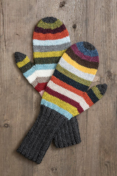 Blue Sky Fibers 21 Color Mittens Kit