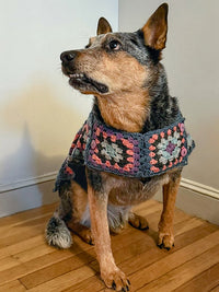 Odie by Mel Kennelly