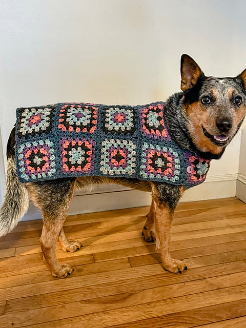 Odie by Mel Kennelly