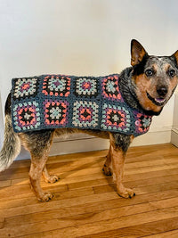 Odie by Mel Kennelly