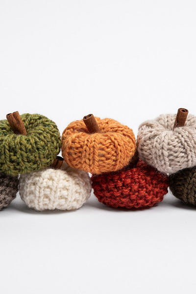 Fall Festival Mini Pumpkins by Nancy Ekvall