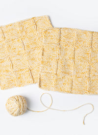 Sundrop Dishcloth by Bobbi IntVeld