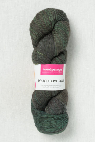 Sweet Georgia Superwash DK Forest Walk