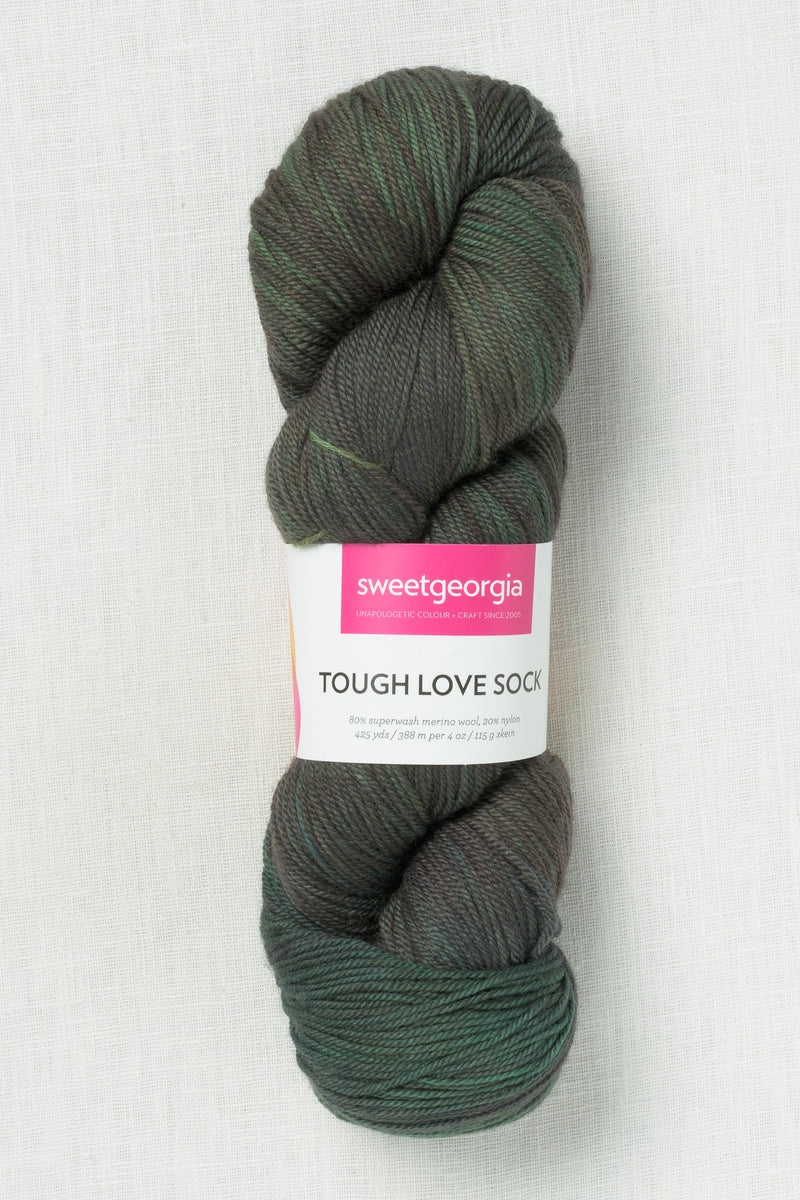Sweet Georgia Superwash DK Forest Walk
