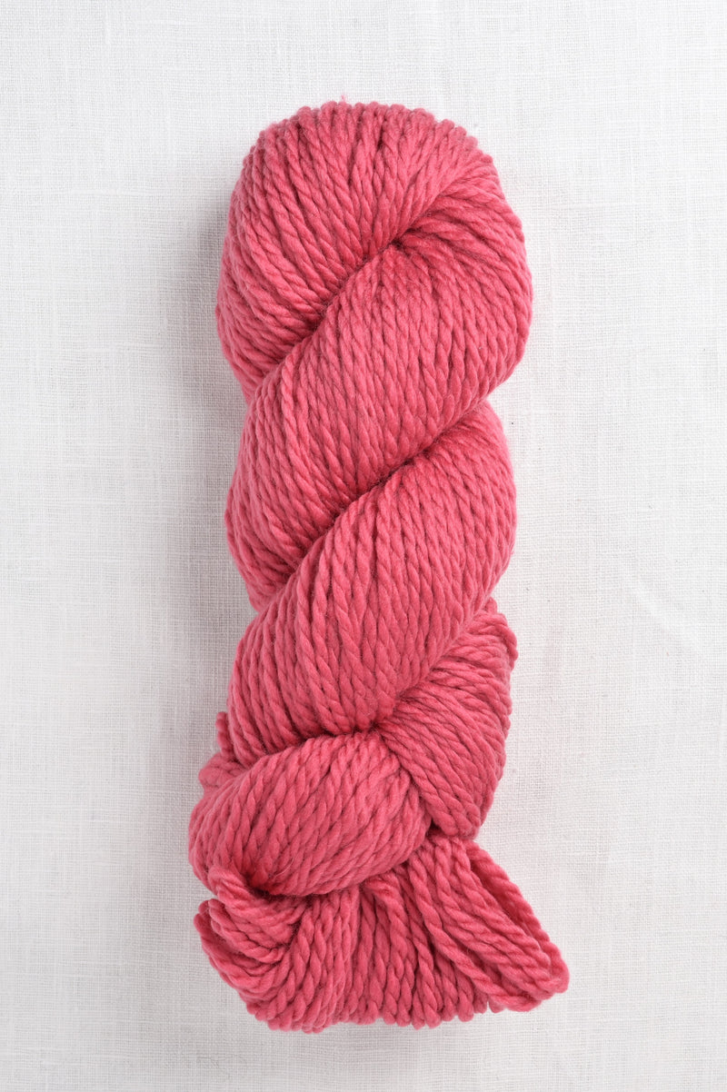 Cascade 128 Superwash 300 Holly Berry