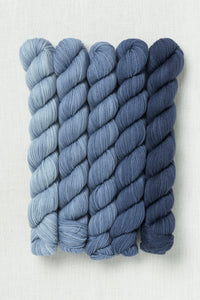 Sweet Georgia Party of Five Tough Love Sock Mini Skein Set Voyage