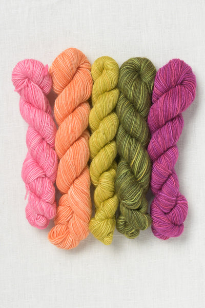 Manos del Uruguay Fino Mini-Skein Set Greta