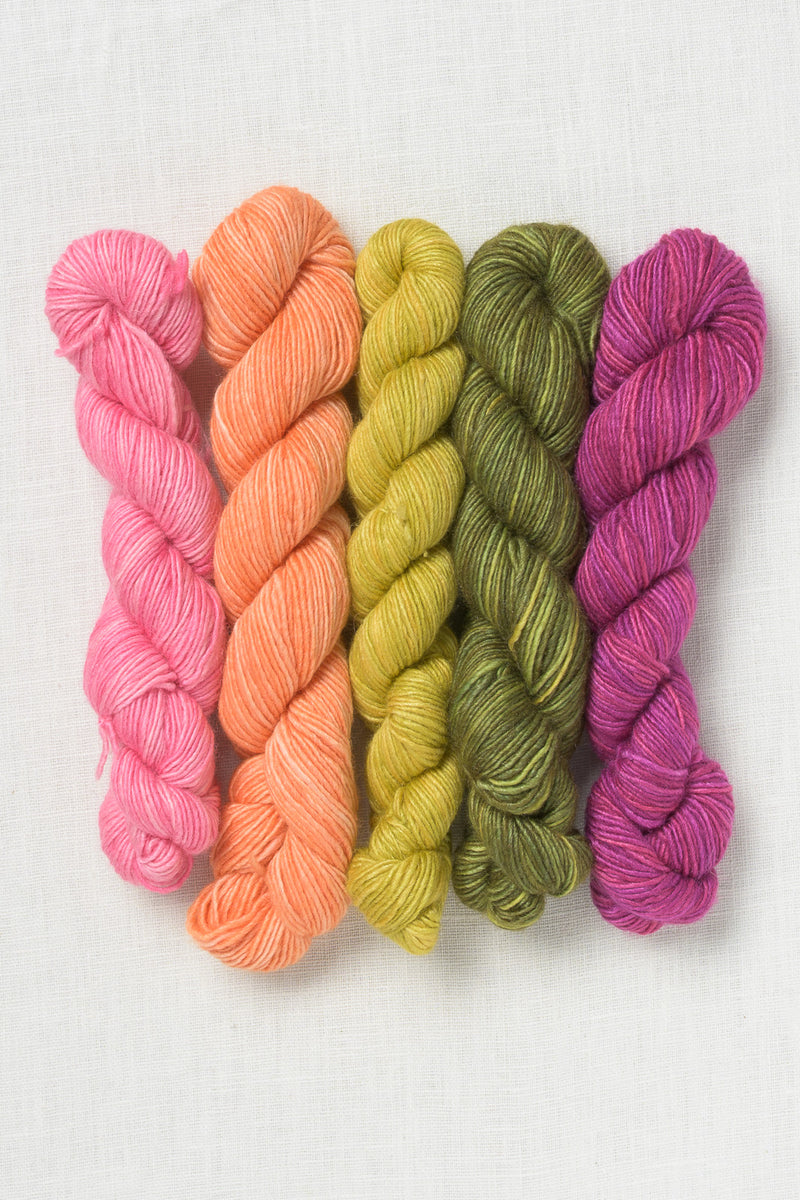 Manos del Uruguay Fino Mini-Skein Set Greta