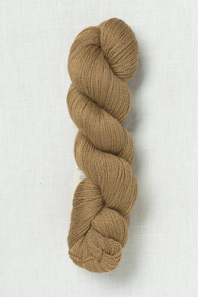 Amano Ayni 5031 Ginger