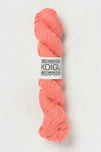 Koigu Premium Merino KPM 1133